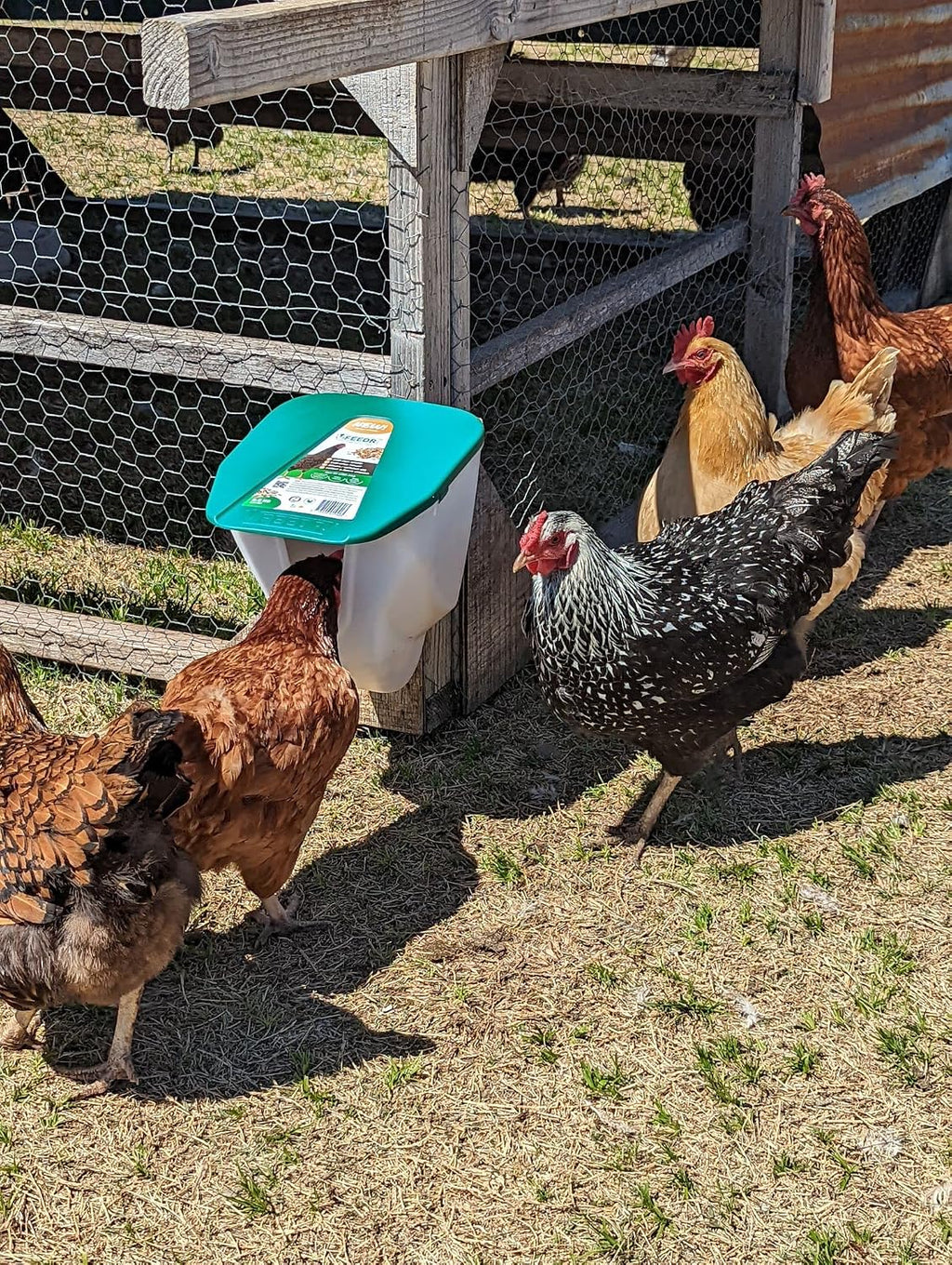 VFeedr No Waste Hanging Poultry Feeder 5-lbs