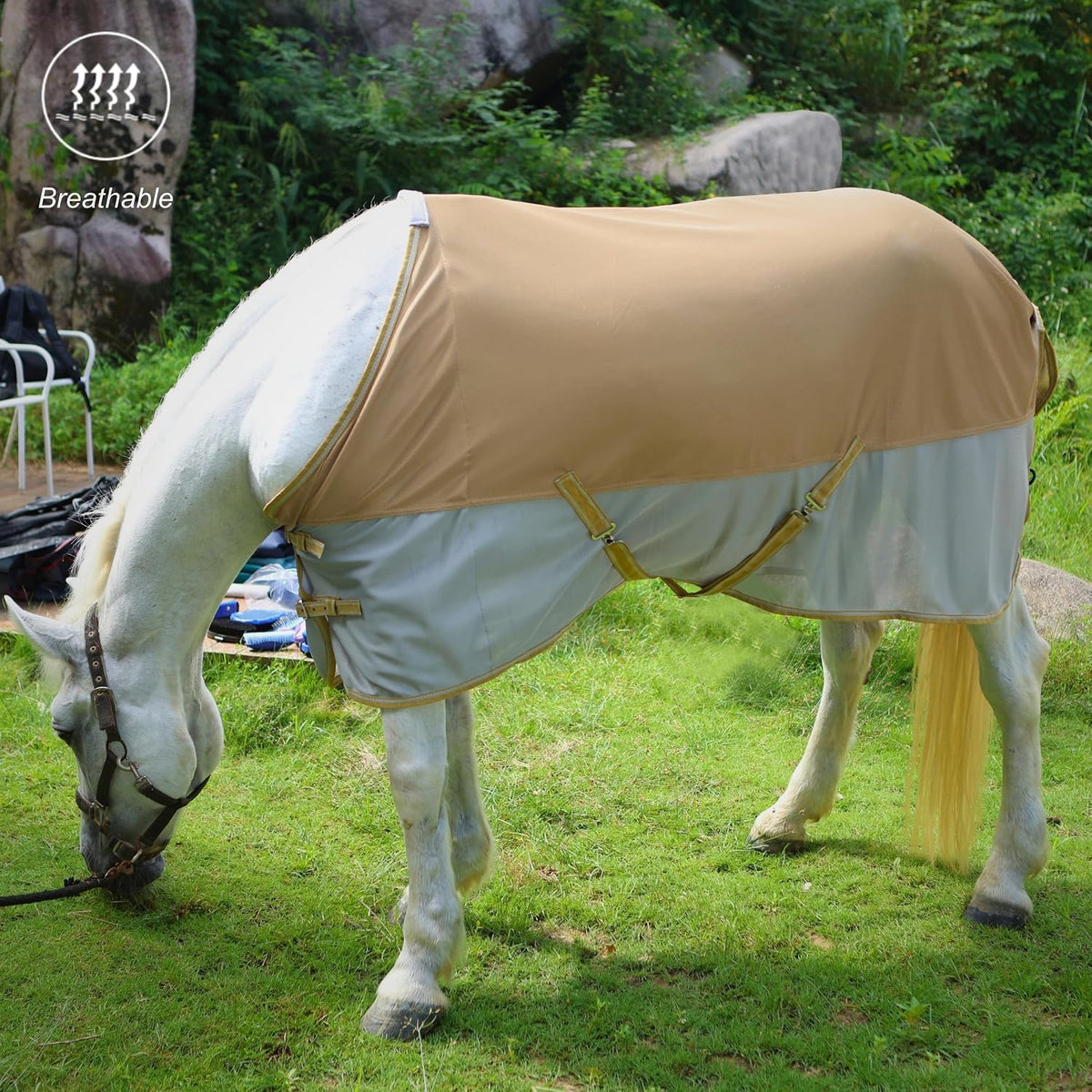 Breathable and UV Protective Tear-Resistant Mesh Horse Fly Sheet Comfy Equine Summer Sheet with Removable Web Leg Straps