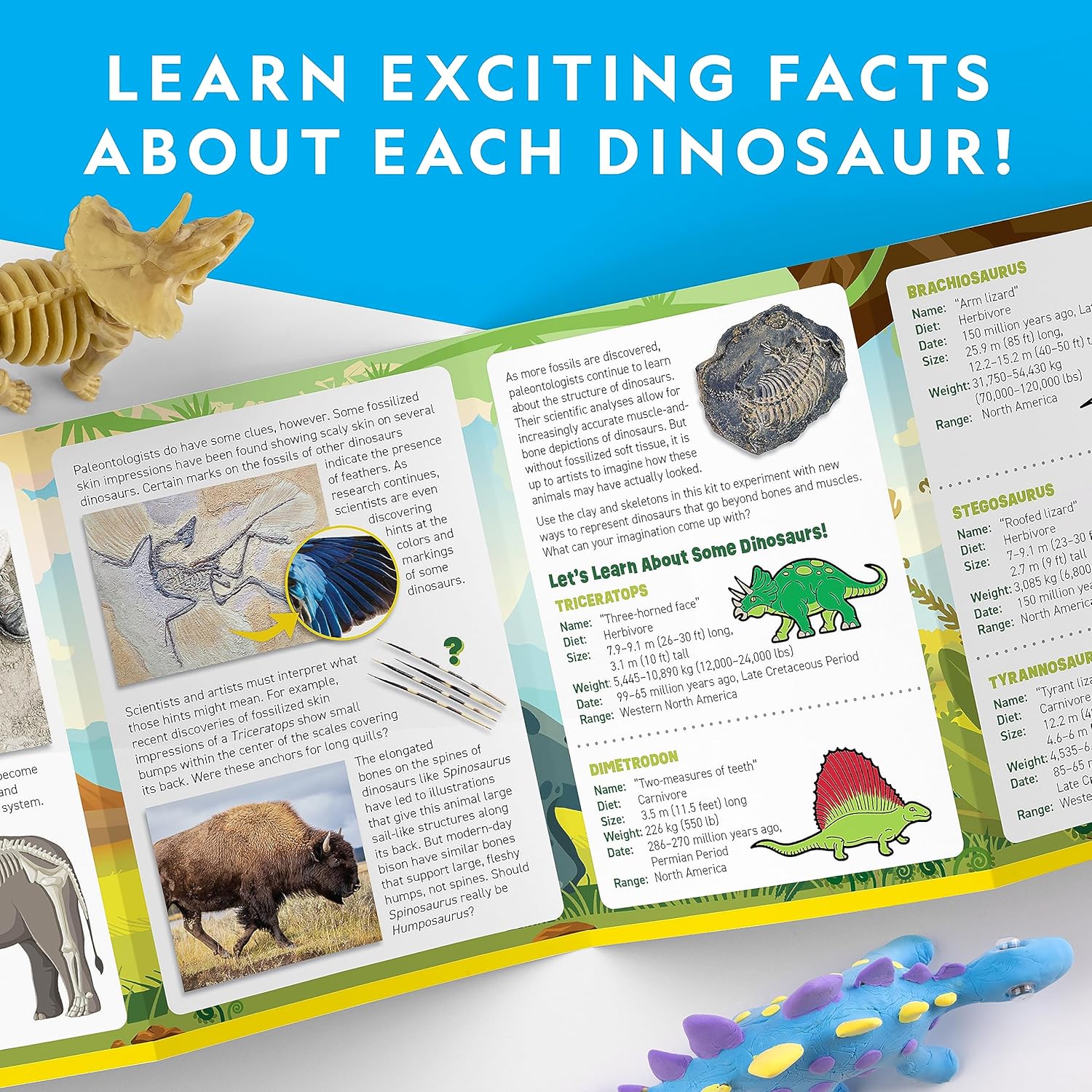 National Geographic Clay Dinosaur Arts and Crafts Activity Kit for Kids | Dinosaurs Toys, 5 Clay Colors, 5 Skeleton