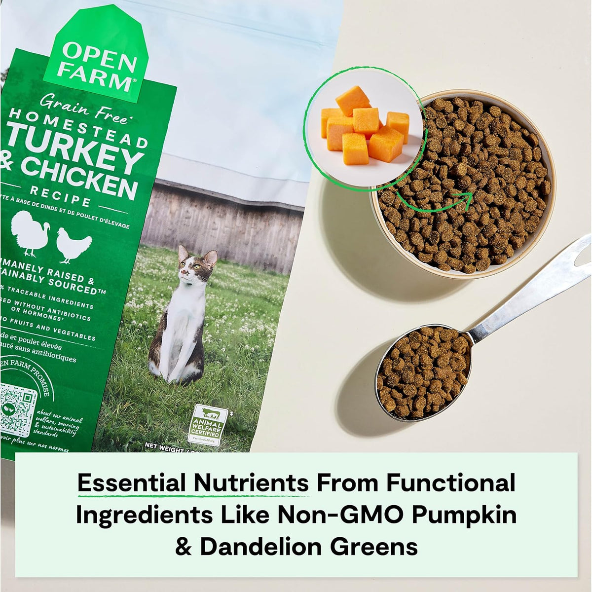 Grain Free Dry Cat Food, Turkey & Chicken Kibble, 4lb Bag