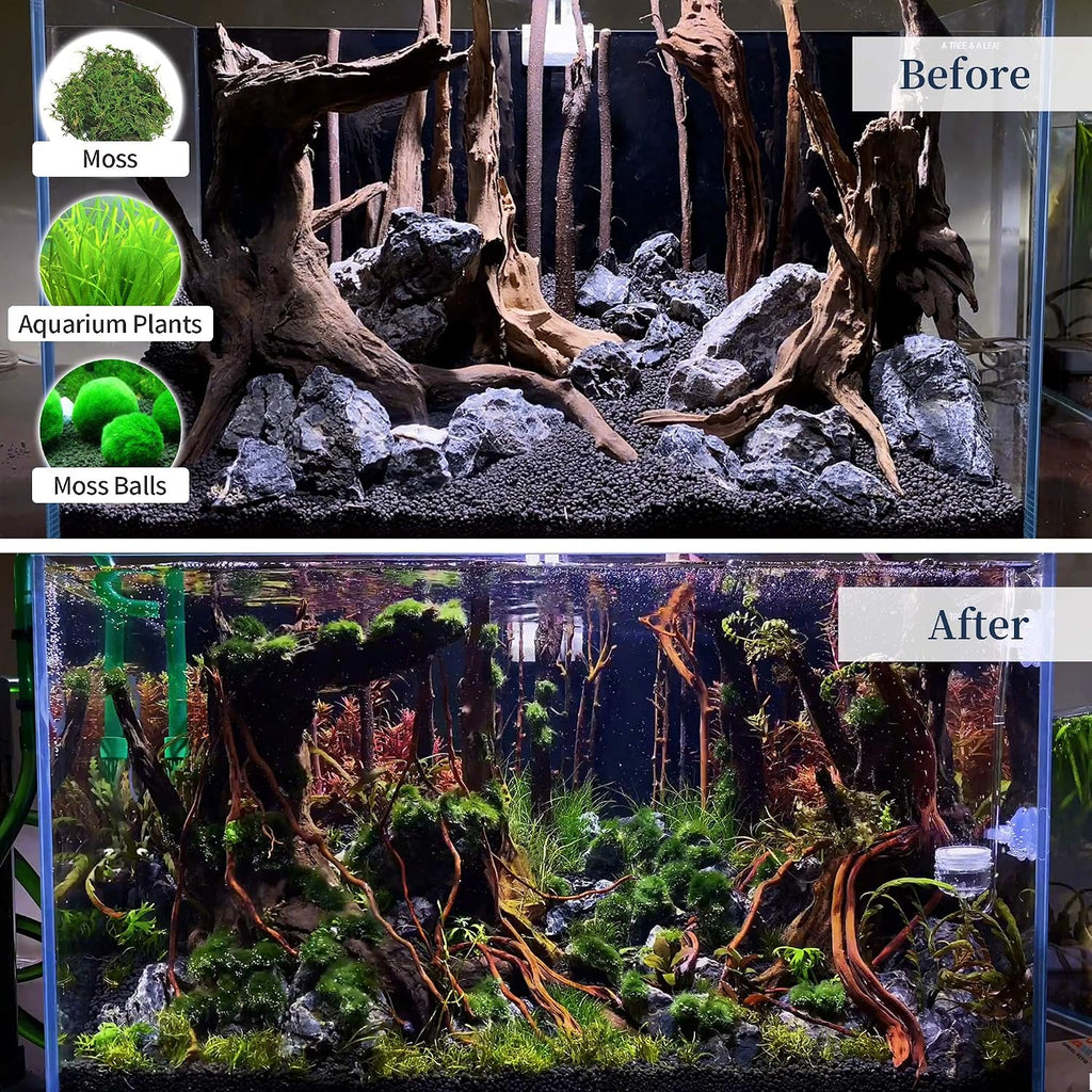 Natural Large Driftwood for Aquarium Decor Fish Tank Decorations