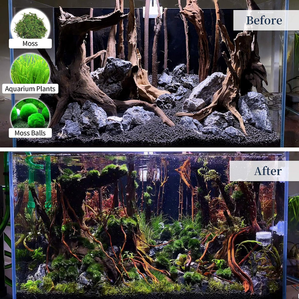 Natural Large Driftwood for Aquarium Decor Fish Tank Decorations