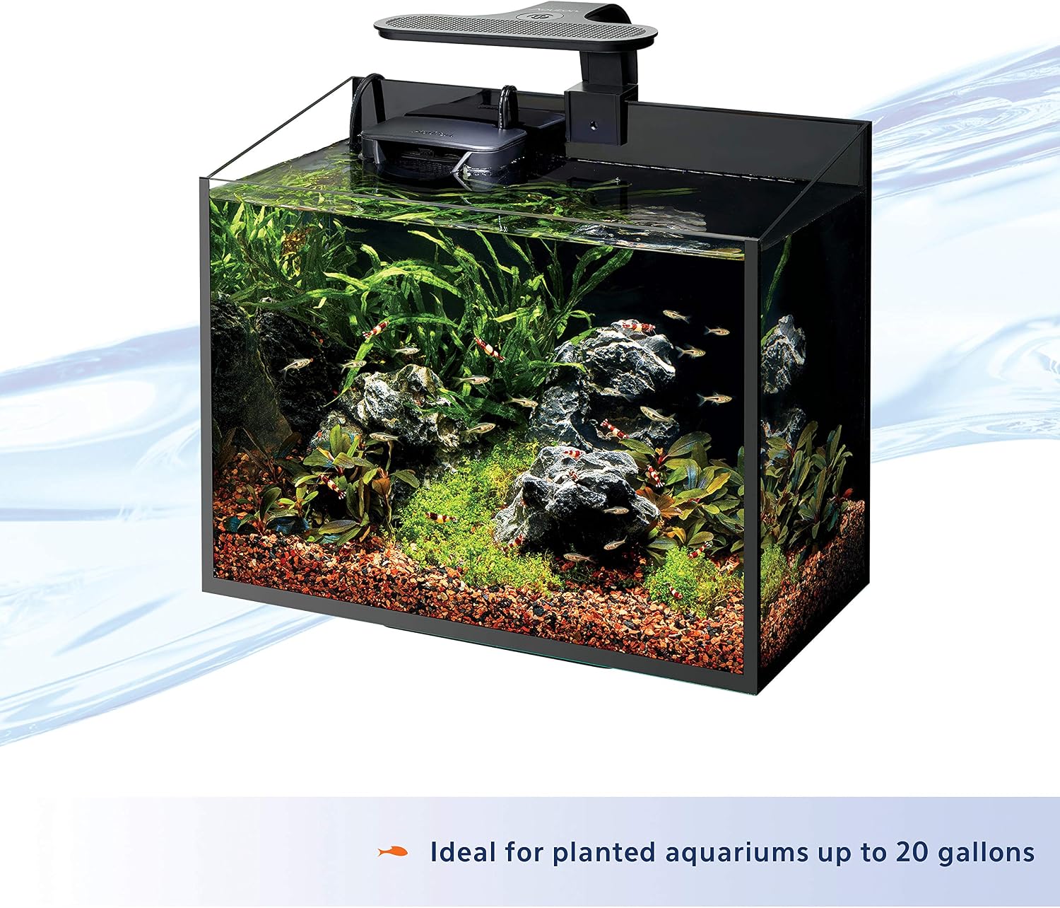 Clip-On LED Fish Tank Light for Planted Aquariums, Up to 20 Gal | Clip on aquarium light with 3-way soft-touch