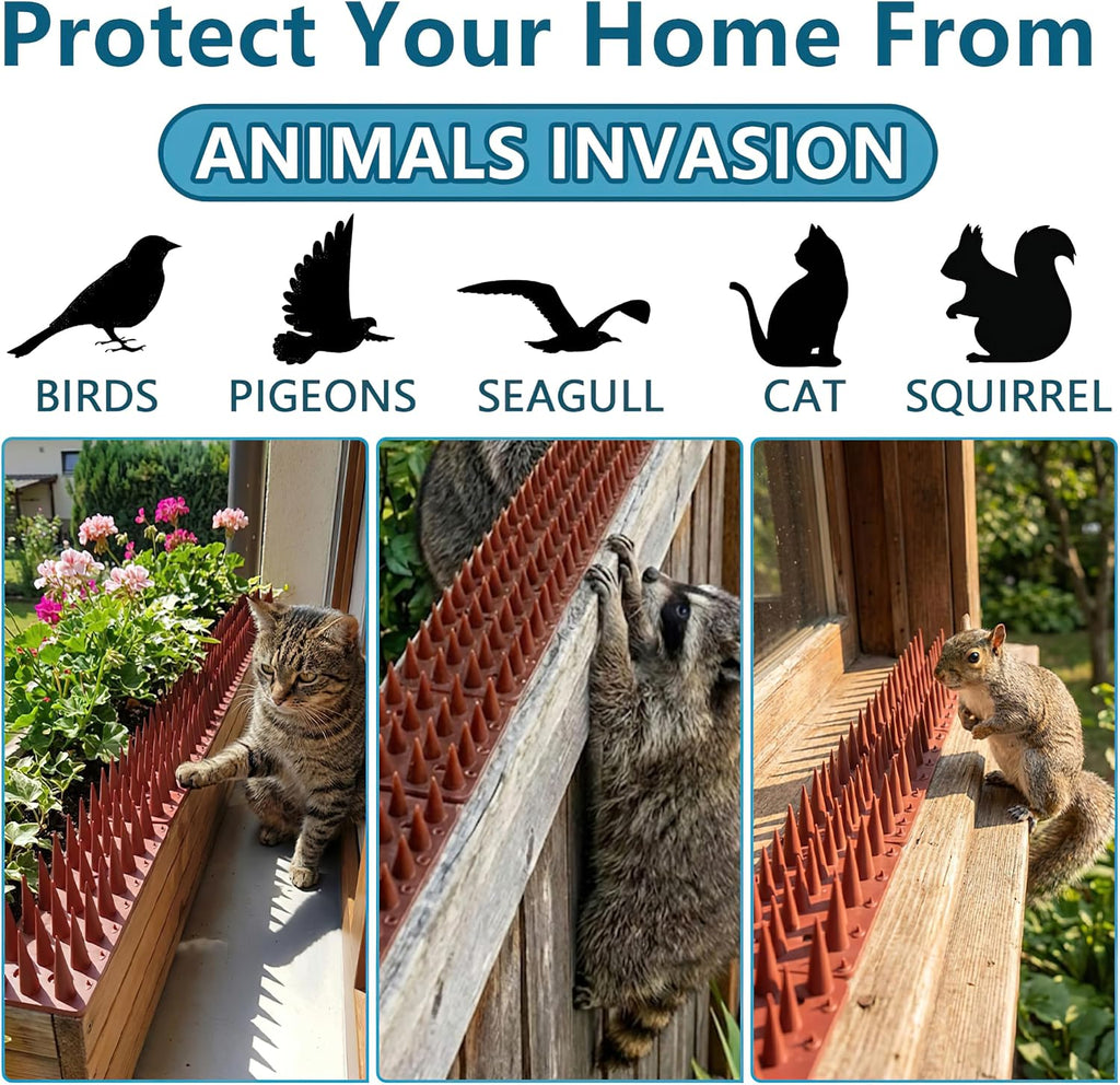 Bird Spikes,Clear 12 Pack,Bird Spikes for Outside to Keep Cats, Raccoons, Squirrels, Pigeons Away, Cat Spikes for