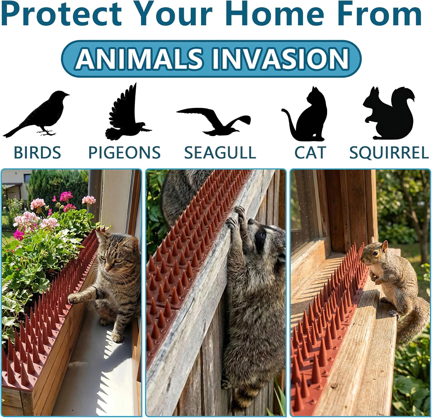 Bird Spikes,Clear 12 Pack,Bird Spikes for Outside to Keep Cats, Raccoons, Squirrels, Pigeons Away, Cat Spikes for
