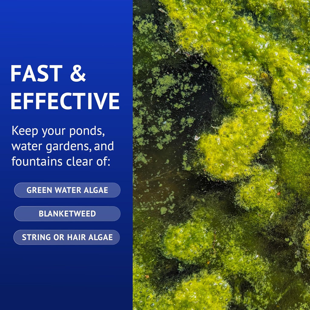 POND ALGAEFIX (32 fl oz) Pond Algae Control - Copper Free - Clean, Clear Water - Up to 9600 Gallons - Safe for Fish &