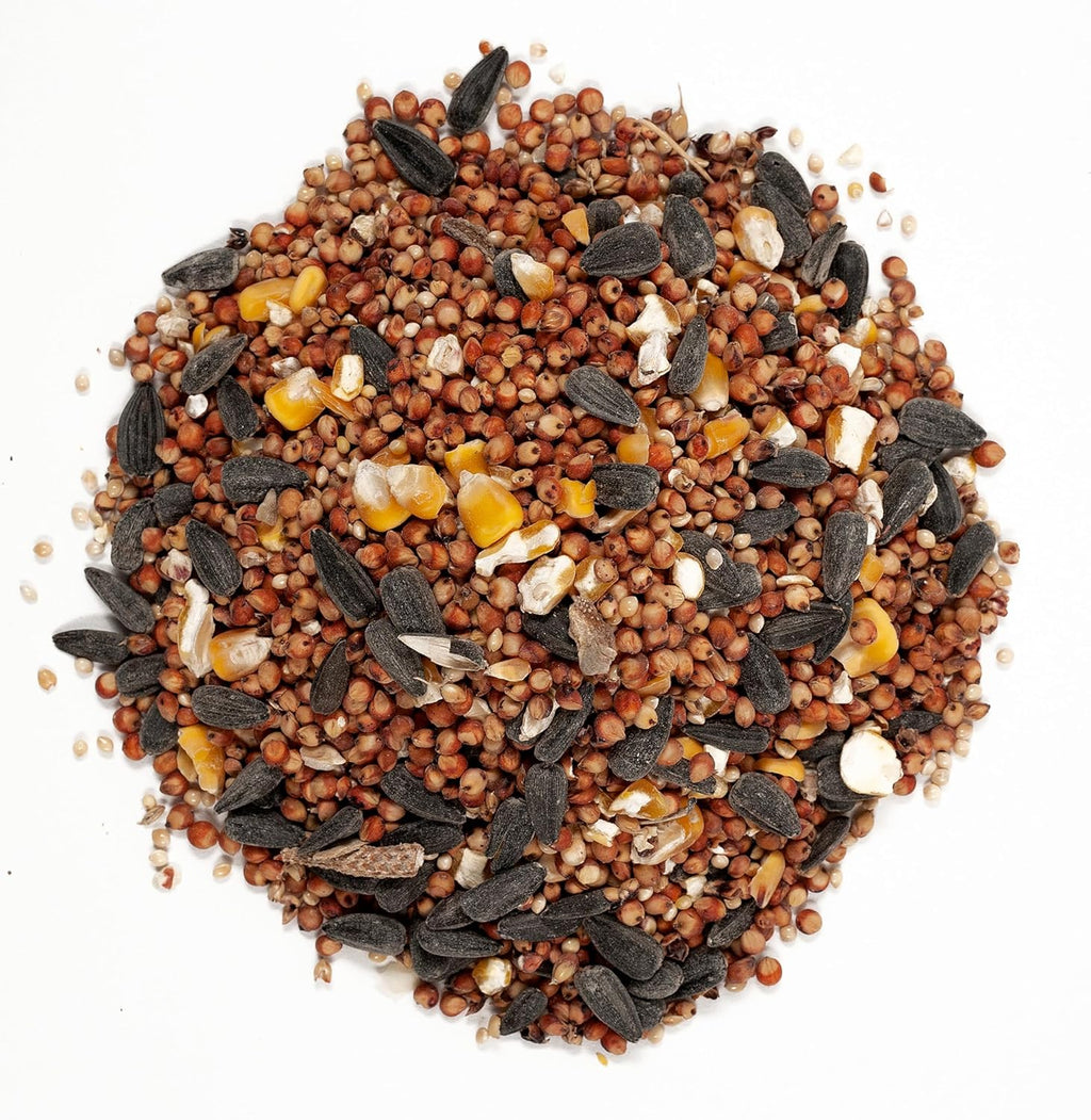 53002 Farmer's Delight Wild Bird Food with Cherry Flavor, 10-Pound Bag