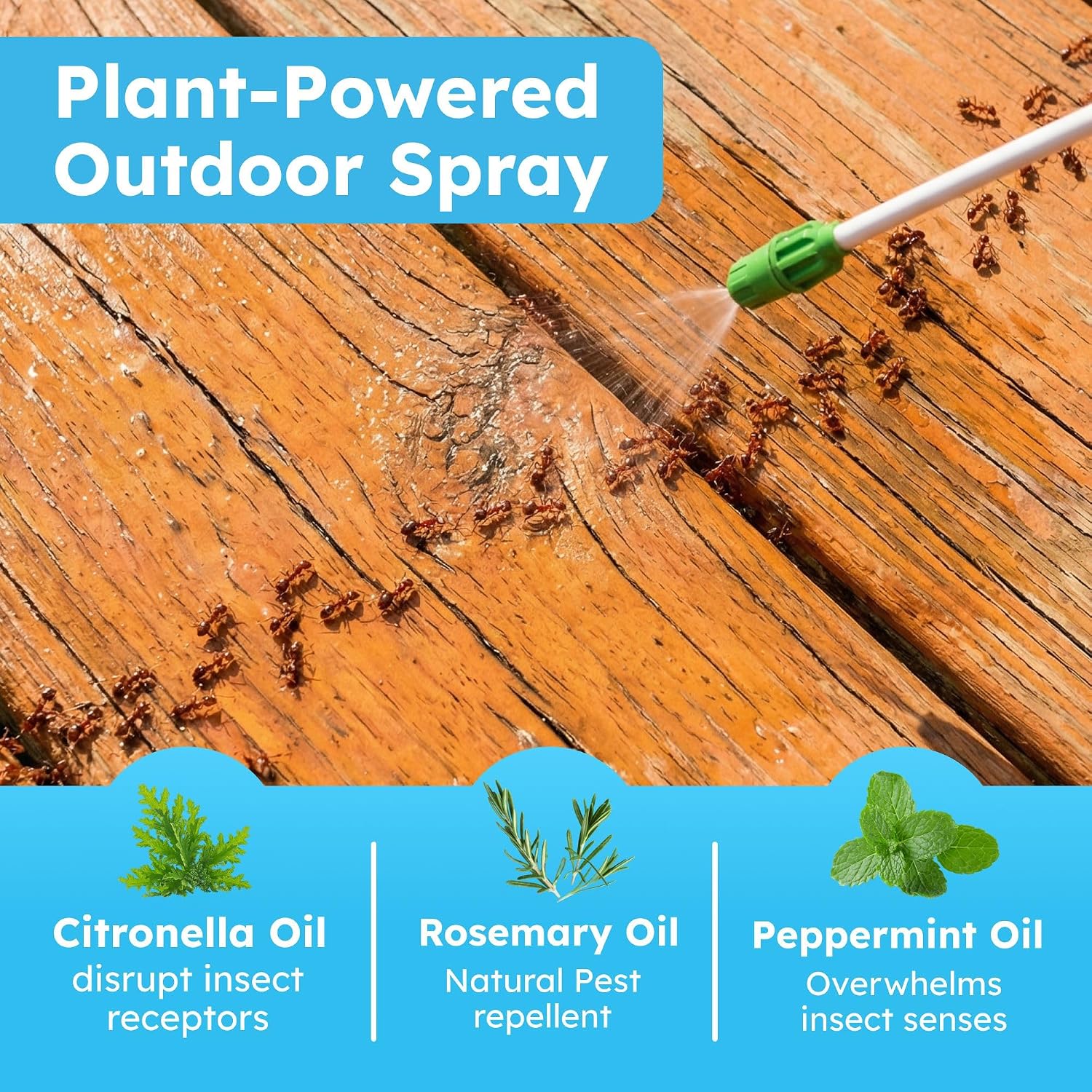 Pest Defense Pro Peppermint Oil Bug Spray and Mosquito Repellent | Outdoor Patio Ant and Tick Killer for Yard, Plant