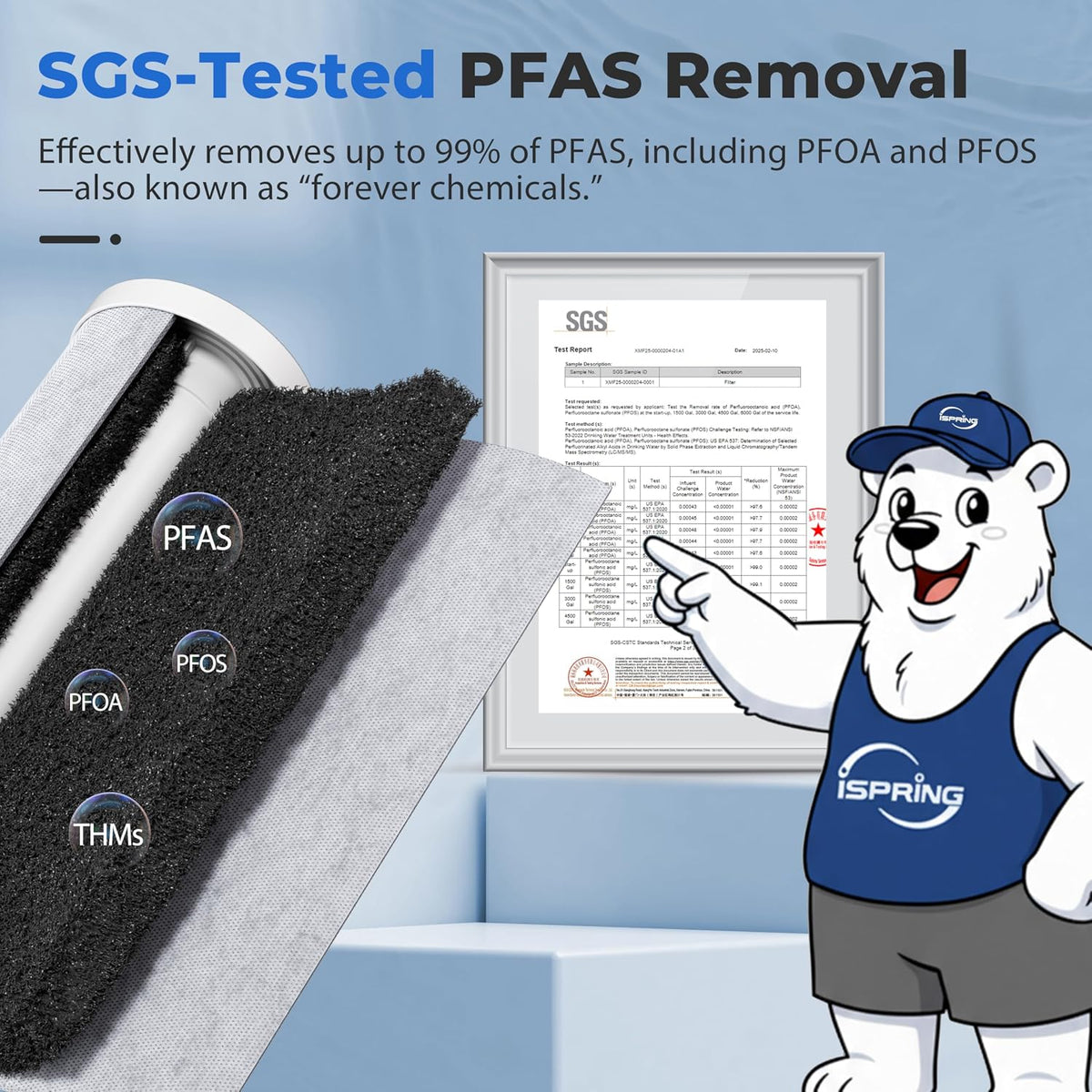 Ultimate PFAS Protection Whole House Water Filter System