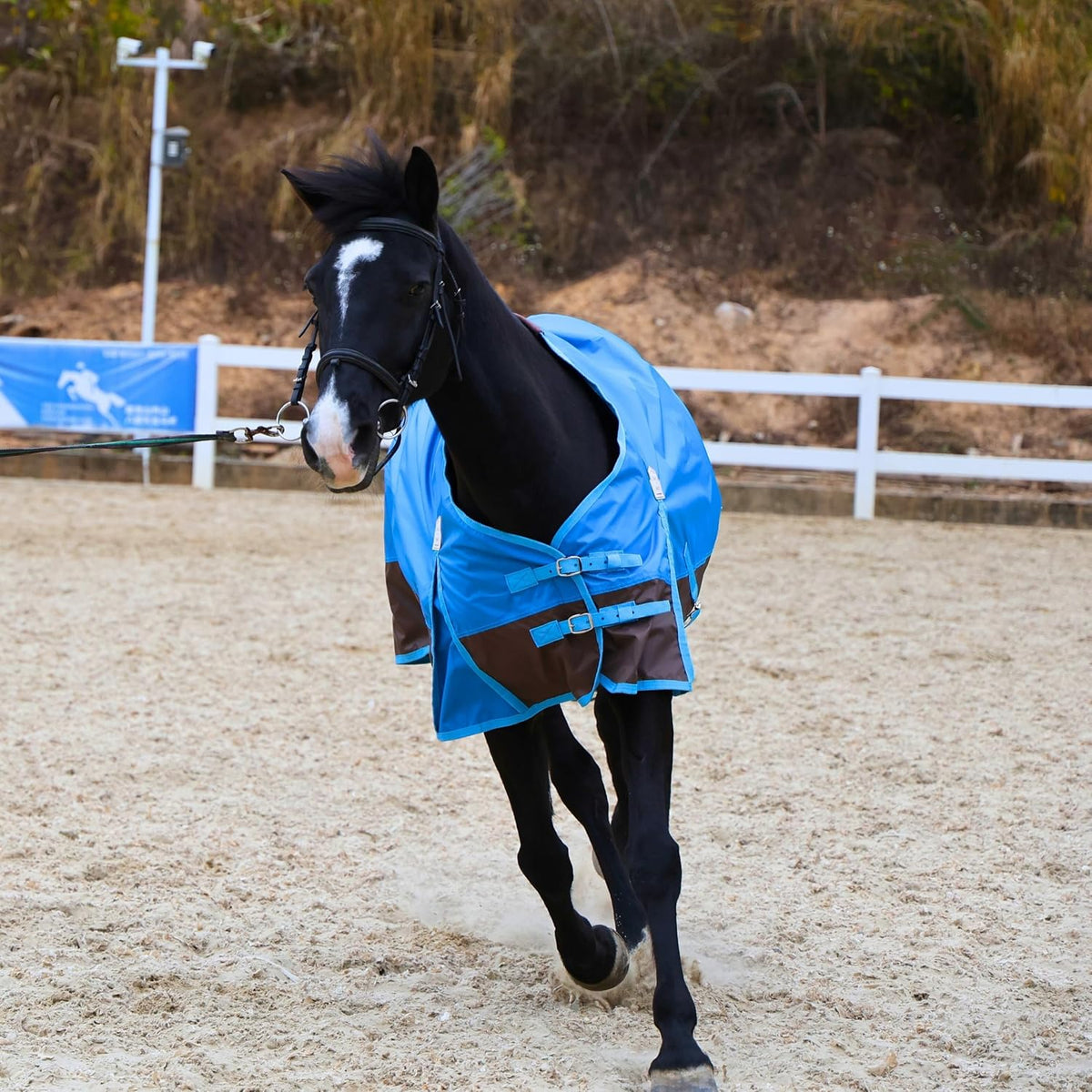 420D Ripstop Lightweight Horse Turnout Sheet, No Fill, Water-Resistant & Breathable Horse Blanket for Spring and Mild