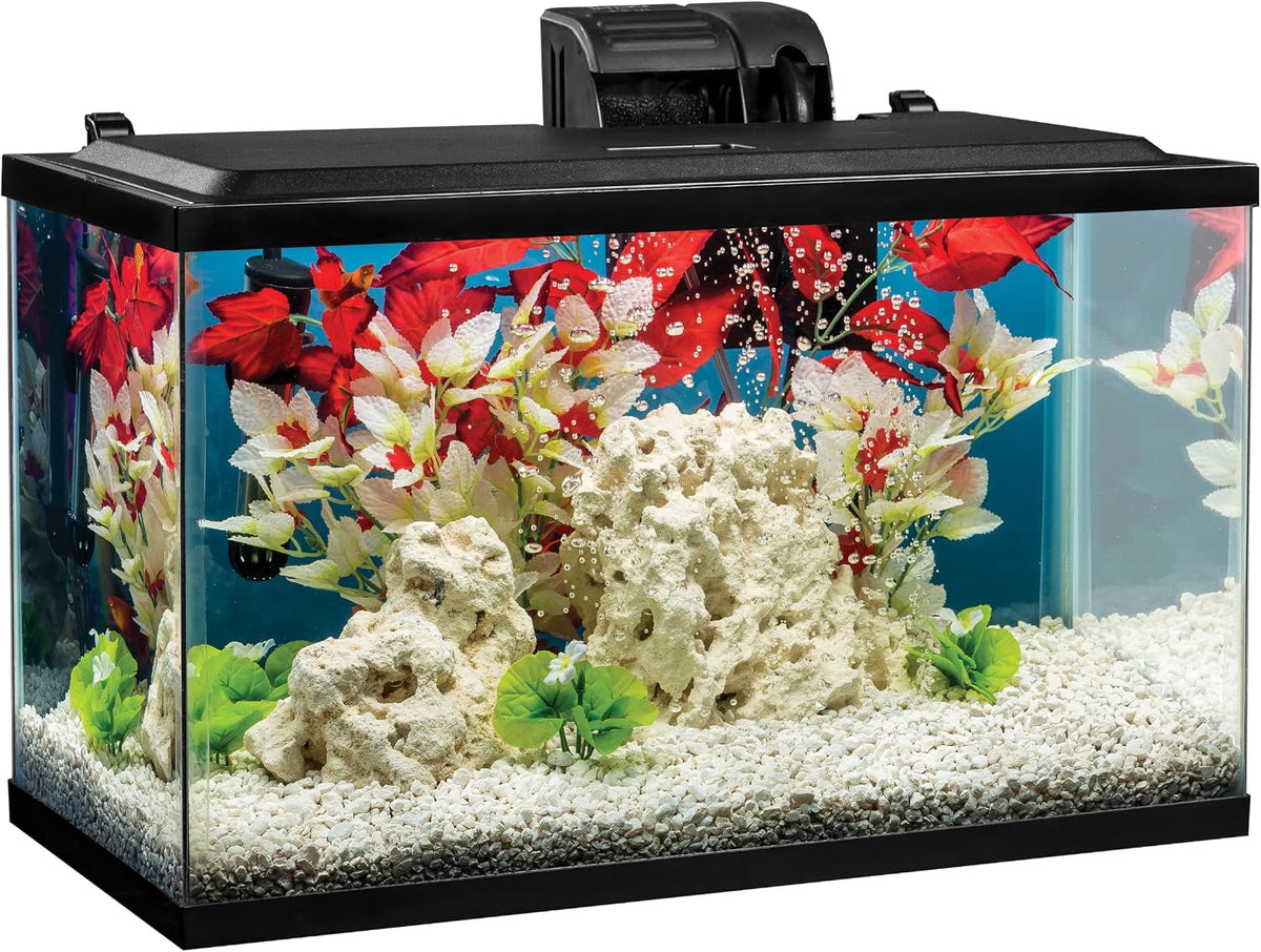 Complete 10 Gallon Fish Tank Kit for Freshwater & Saltwater Fish