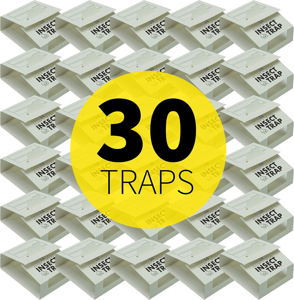 Insect Traps for Pest Control, 30 Pack | Glue Traps for Brown Recluse, Hobo Spiders, Black Widows, Home, Basement or