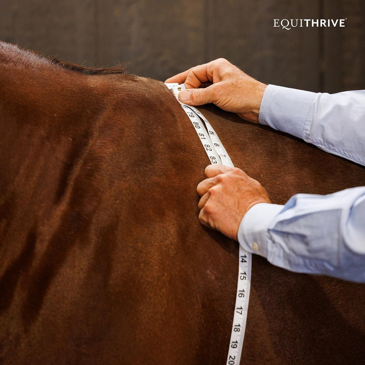 MetaCare Pellets Horse Supplement, 3.3 lbs, 30 Day Supply