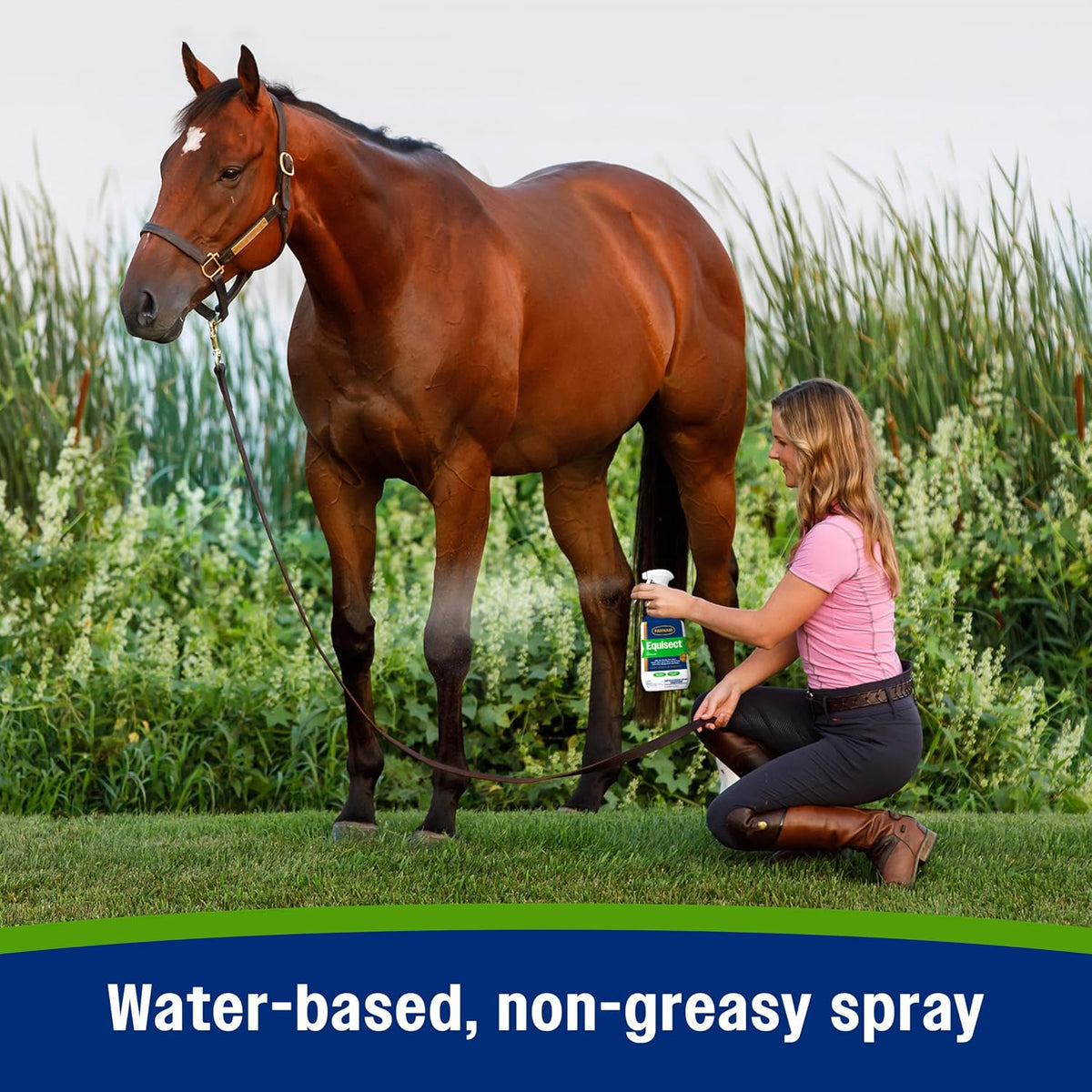 Equisect Water-Based Botanical Fly Repellent for Horses, 32 oz