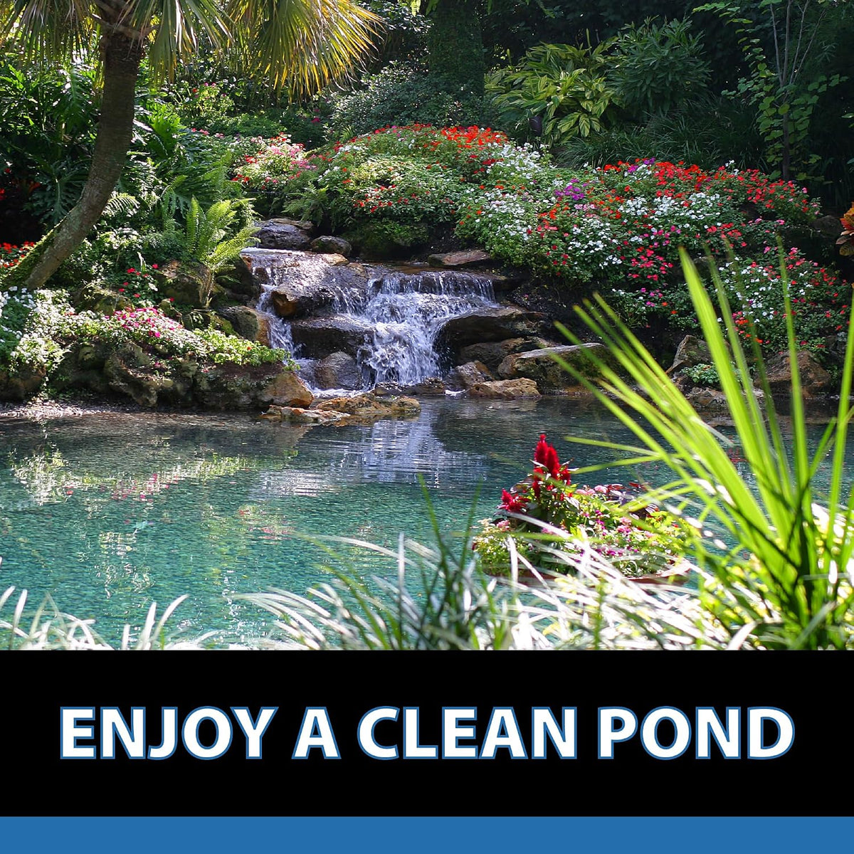 MuckOff Natural Pond Muck Treatment Sludge Remover, 24 Tablets
