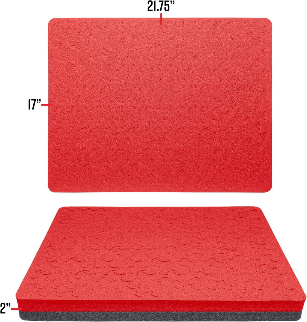RAGAR 21.75" x 17" Reconfigurable & Reusable Protective XP Crosslinked Foam Insert For Equipment And Camera Hard
