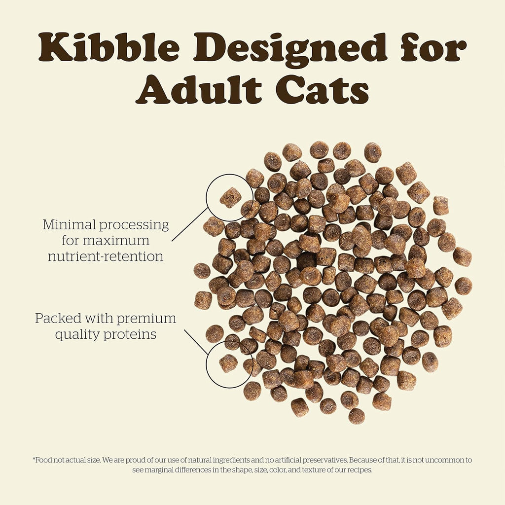Adult Dry Cat Food, Turkey, Salmon & Duck, 3 lb