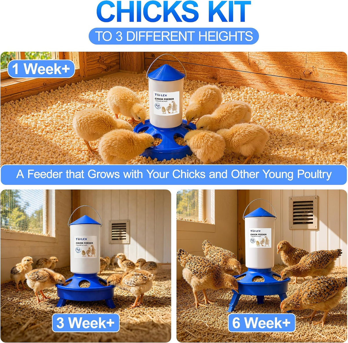 0.4Gal Top Fill Chick Feeder and 0.4Gal Chick Waterer 3 Height Scoop Blue | Chick Feeder and Waterer Set, Anti-Drown