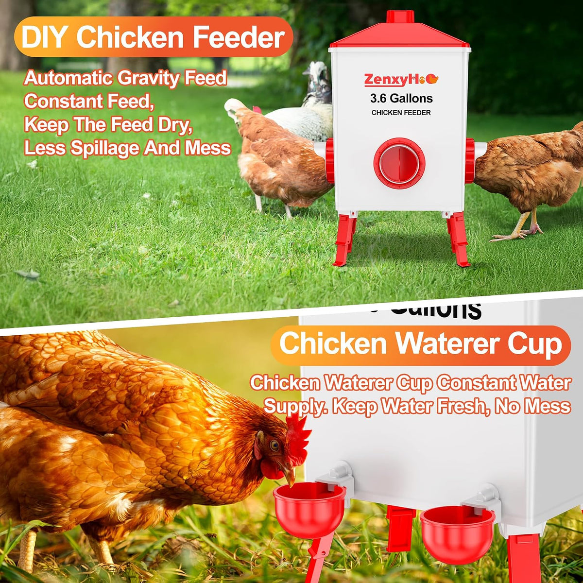 No Waste Chicken Feeders and Waterers - 6 Set with Water Cups