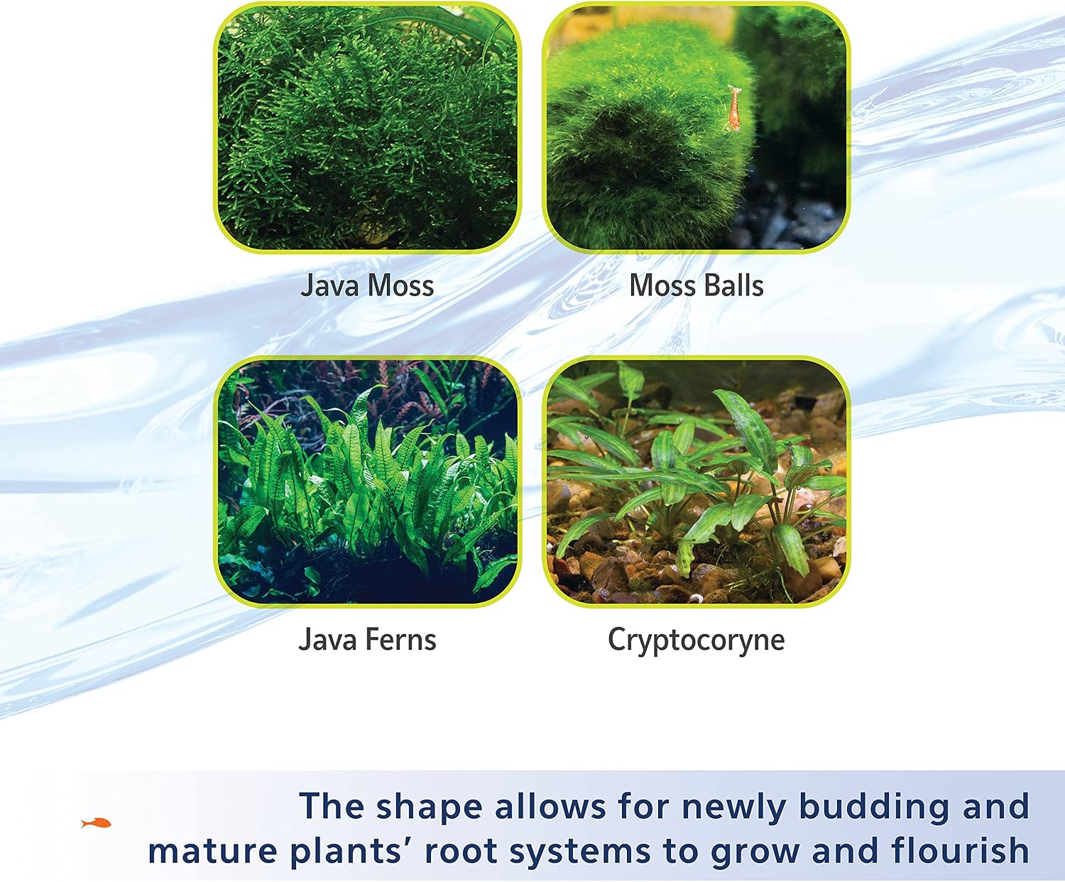 Plant and Shrimp Aquarium Substrate, Aqua Soil for Fish Tanks, 5 Pounds | Aqua Soil for Fish Tanks, Aquarium