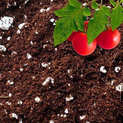 Coco Perlite - Coco Coir Perlite Mix - 70/30 Growing Media - Hydroponic, Indoor & Outdoor, Grow Bags & House Plants