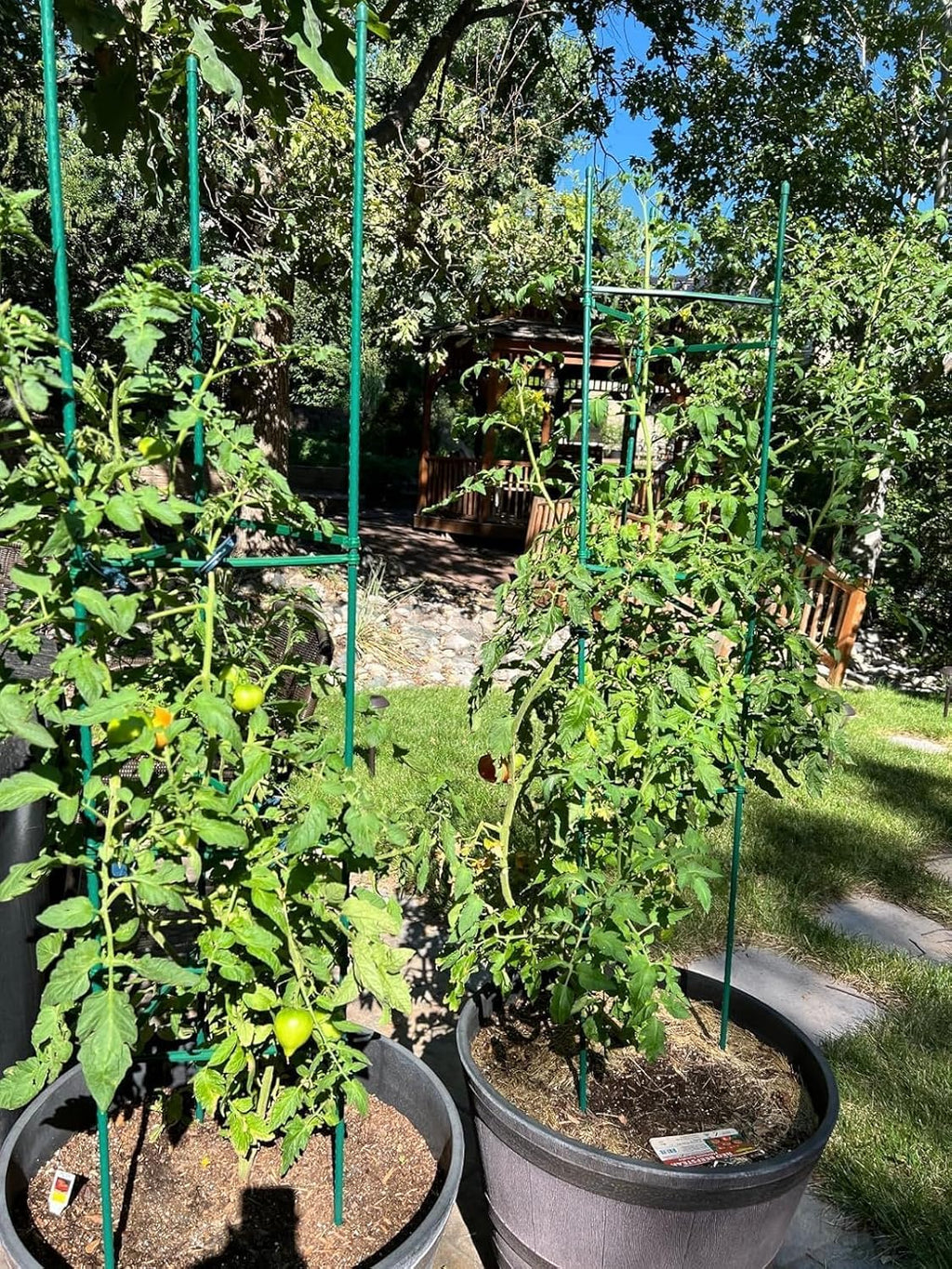 6 Pack 5ft Tomato Cage for Garden Plant Support, Garden Stakes Tomato Cage, Tomato Cages Plant Stakes for Climbing