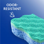 Multi-Use Scrunge Scrub Sponge 6 Count (Pack of 4)