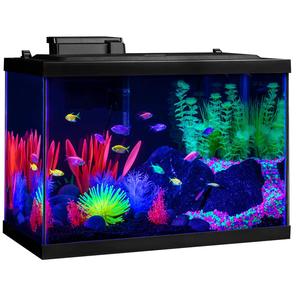 20 Gallon Complete Fish Tank Kit
