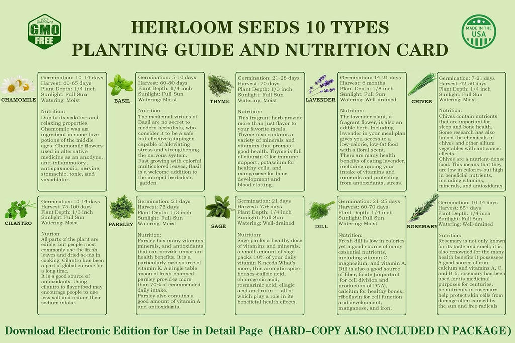 10 Herb Seeds Garden Starter Grow Kit with White Pots, Markers, Nutritional Soil, Watering, Herb Clipper, Complete