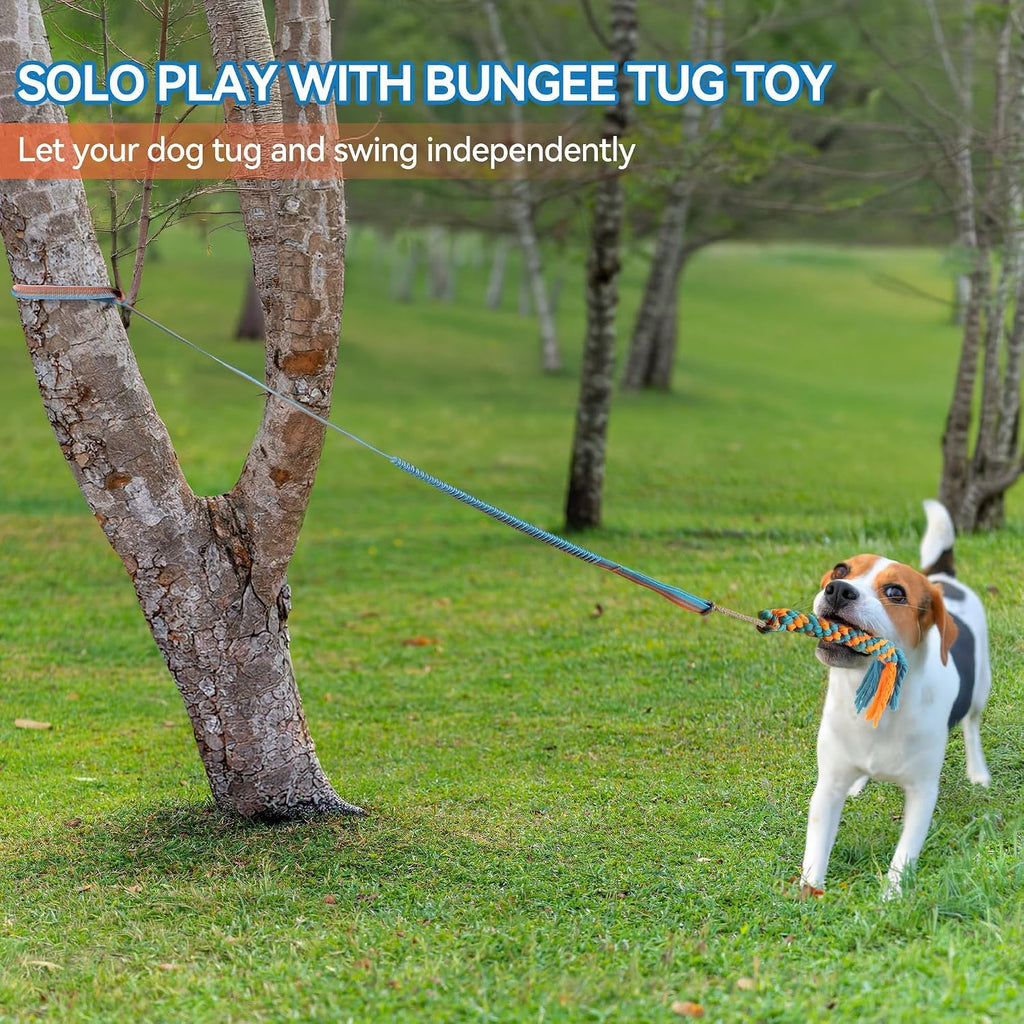 Dog Bungee Tug Toy, Outdoor Hanging Bungee from Tree for Chase & Tug Fun, Interactive Tug-of-War Toy for Small and