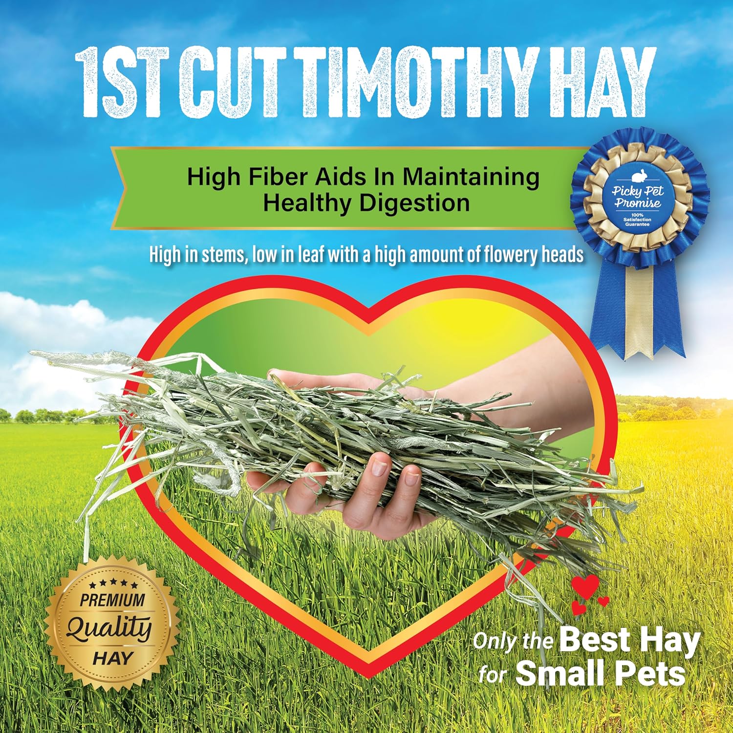 1st Cutting Timothy Hay for Rabbits & Guinea Pigs, 2 lb | High Fiber Natural Hay, Grown in USA, Long Coarse Strands