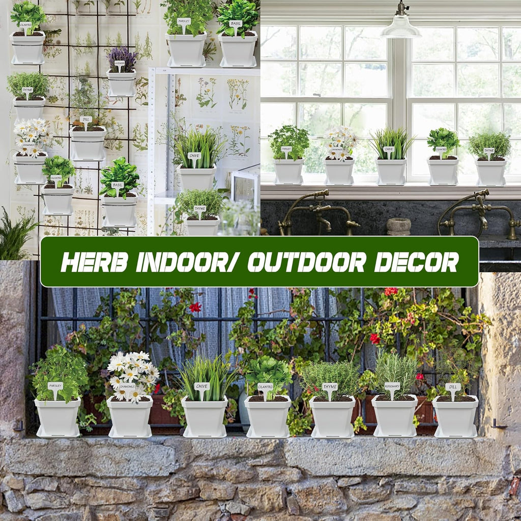 10 Herb Seeds Garden Starter Grow Kit with White Pots, Markers, Nutritional Soil, Watering, Herb Clipper, Complete