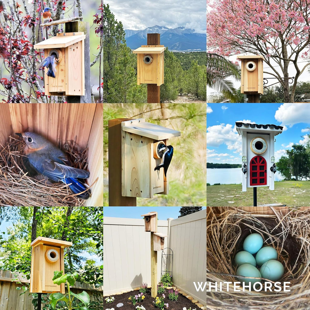 Bluebird House - Weatherproof Bird House for Outdoors - Cedar Birdhouse Built to NABS Specs - Nest Box for Bluebirds