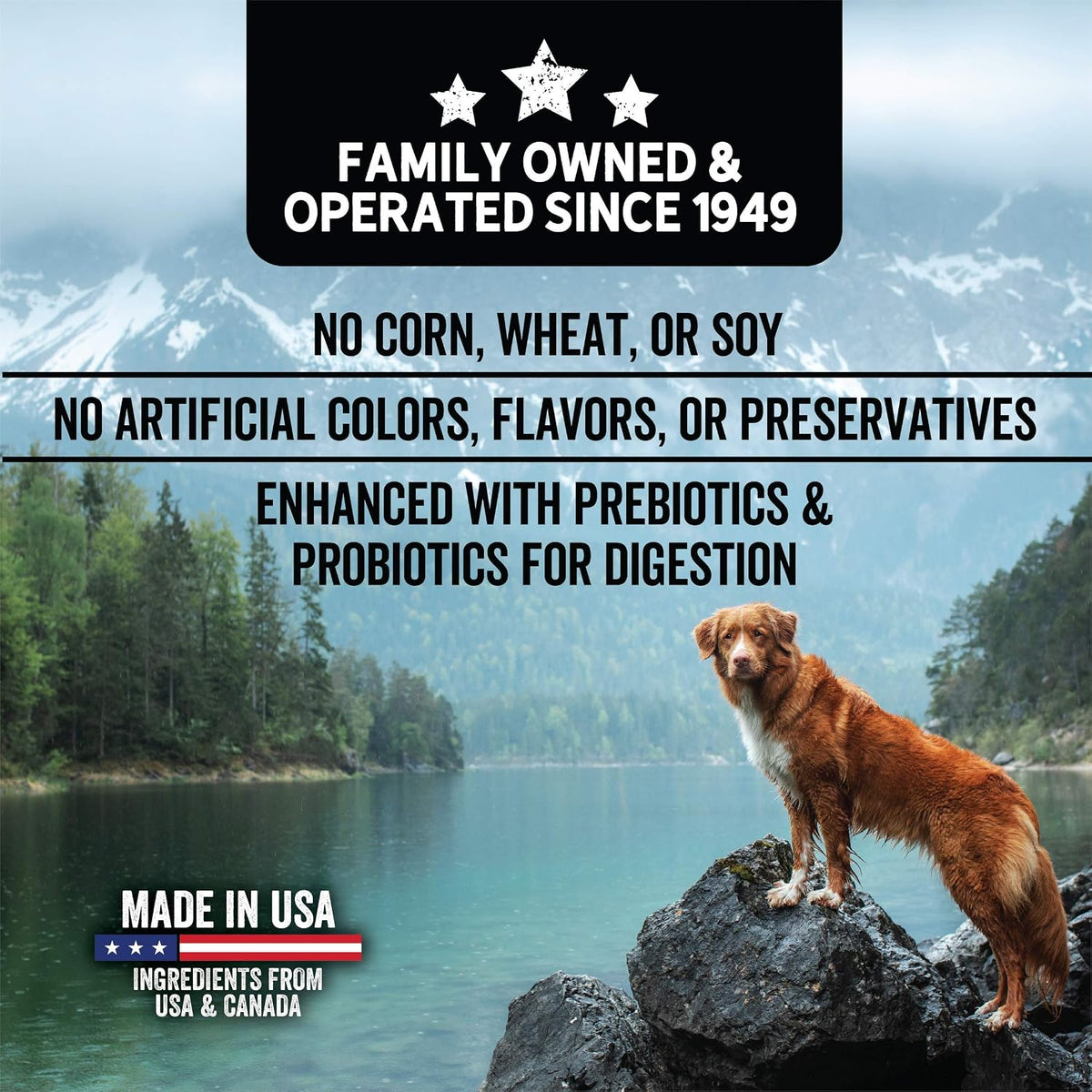 Grain Free Deboned Salmon & Sweet Potato Recipe Dog Food, 3.5 lb.