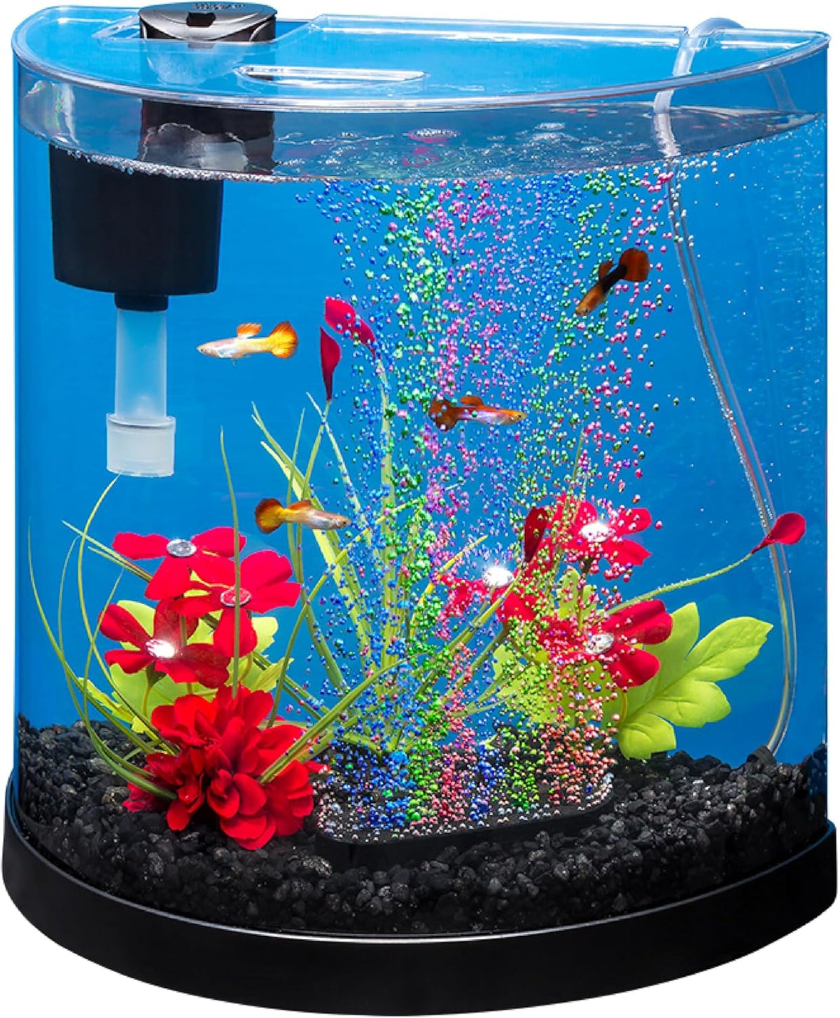 ColorFusion Starter 3 Gallon Fish Tank Kit for Small Freshwater Fish