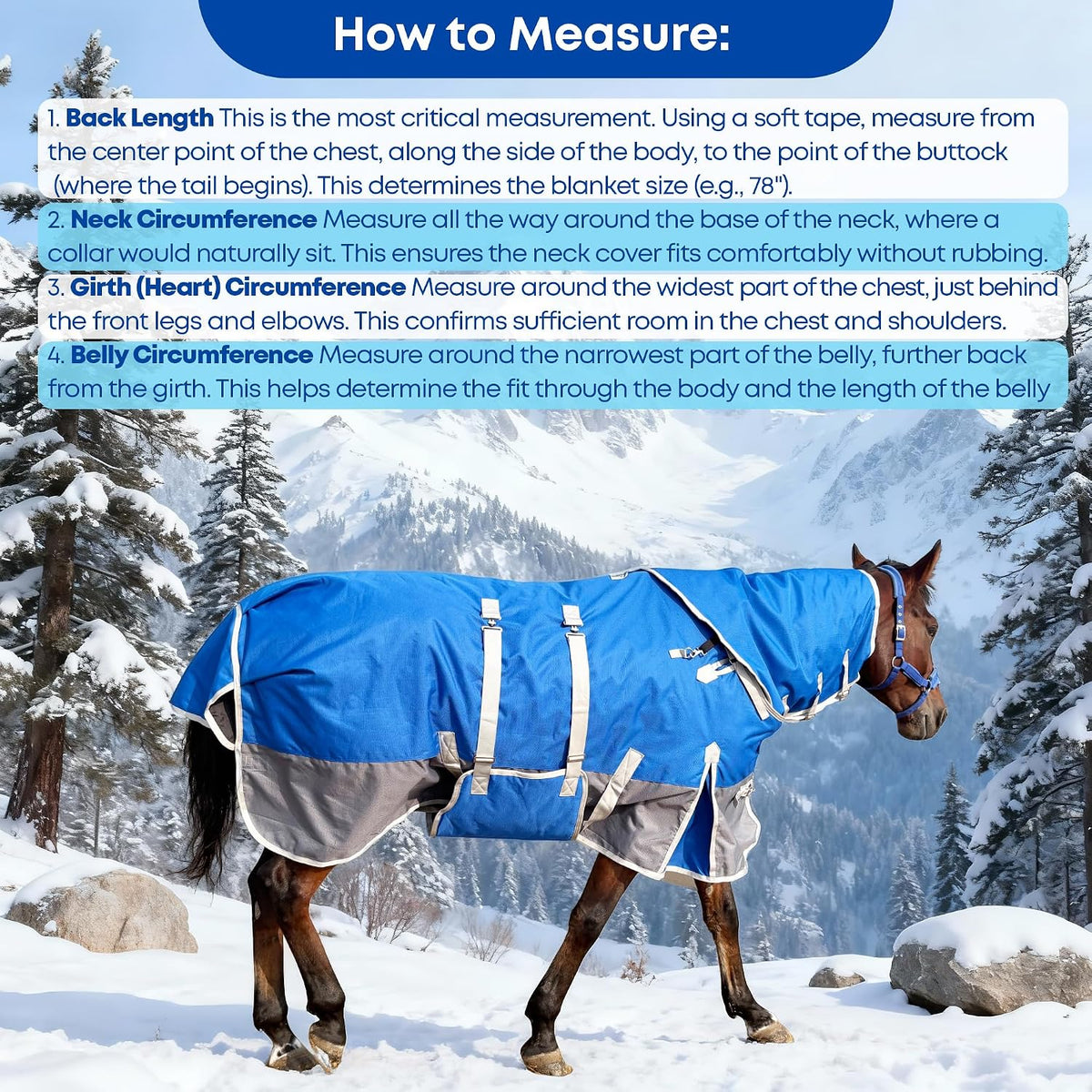 1200D Turnout Horse Blanket with Hood & Band, Medium Weight, Blue/Grey,78IN