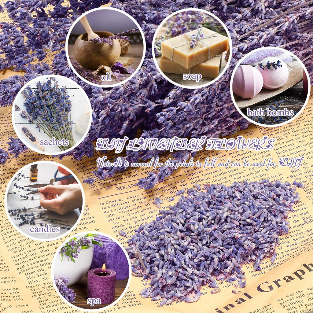 8 Bundles Dried Lavender 16 Inches for Home Wedding Party Decor