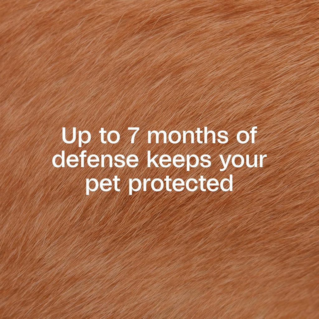 Plus Flea & Tick Collar for Dogs, 7-Month Prevention, 1 Count