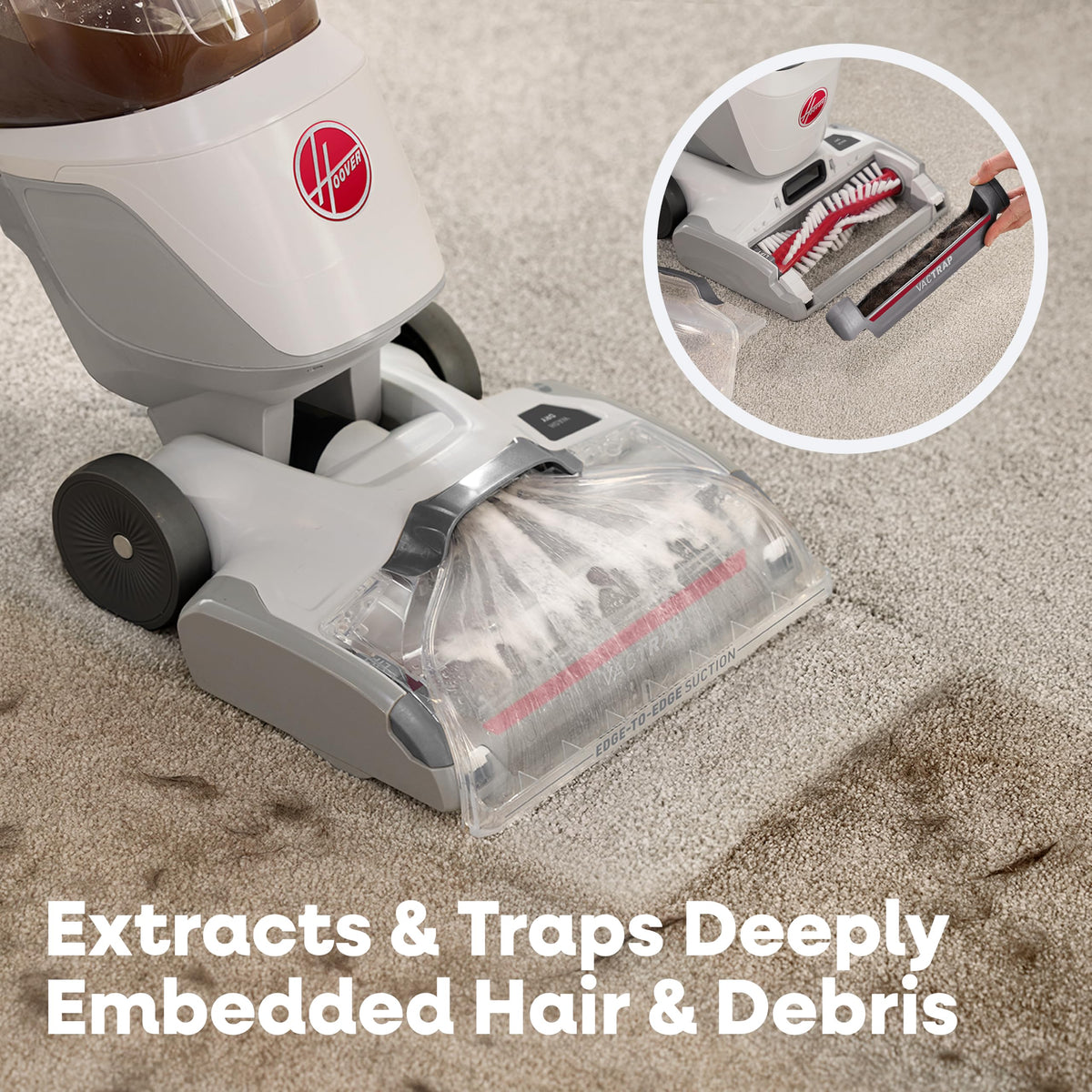 AllOut Lux Carpet Cleaner