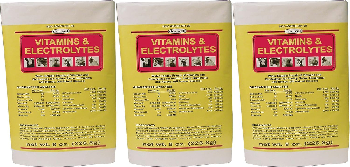 (3 Pack) 136028 Vitamins & Electrolytes, 8 oz