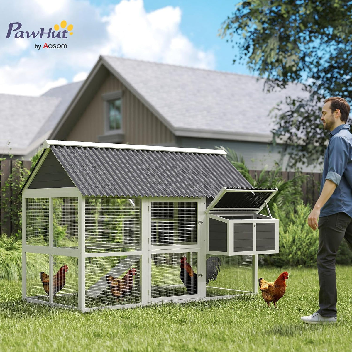 Chicken Coop with Run, Large, for 4-6 Chickens, 69" W x 84" x 59"