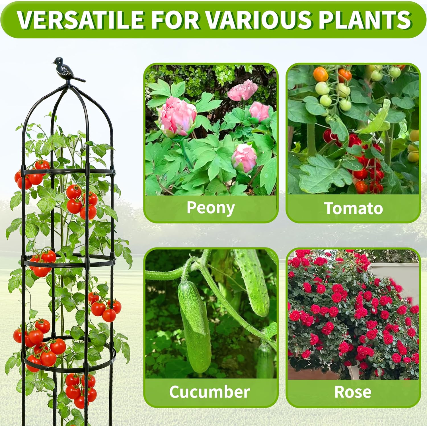 2-Pack 6FT Garden Obelisk Trellis for Climbing Plants,Adjustable 4-Tier Metal Plant Support,Rustproof Outdoor Plant