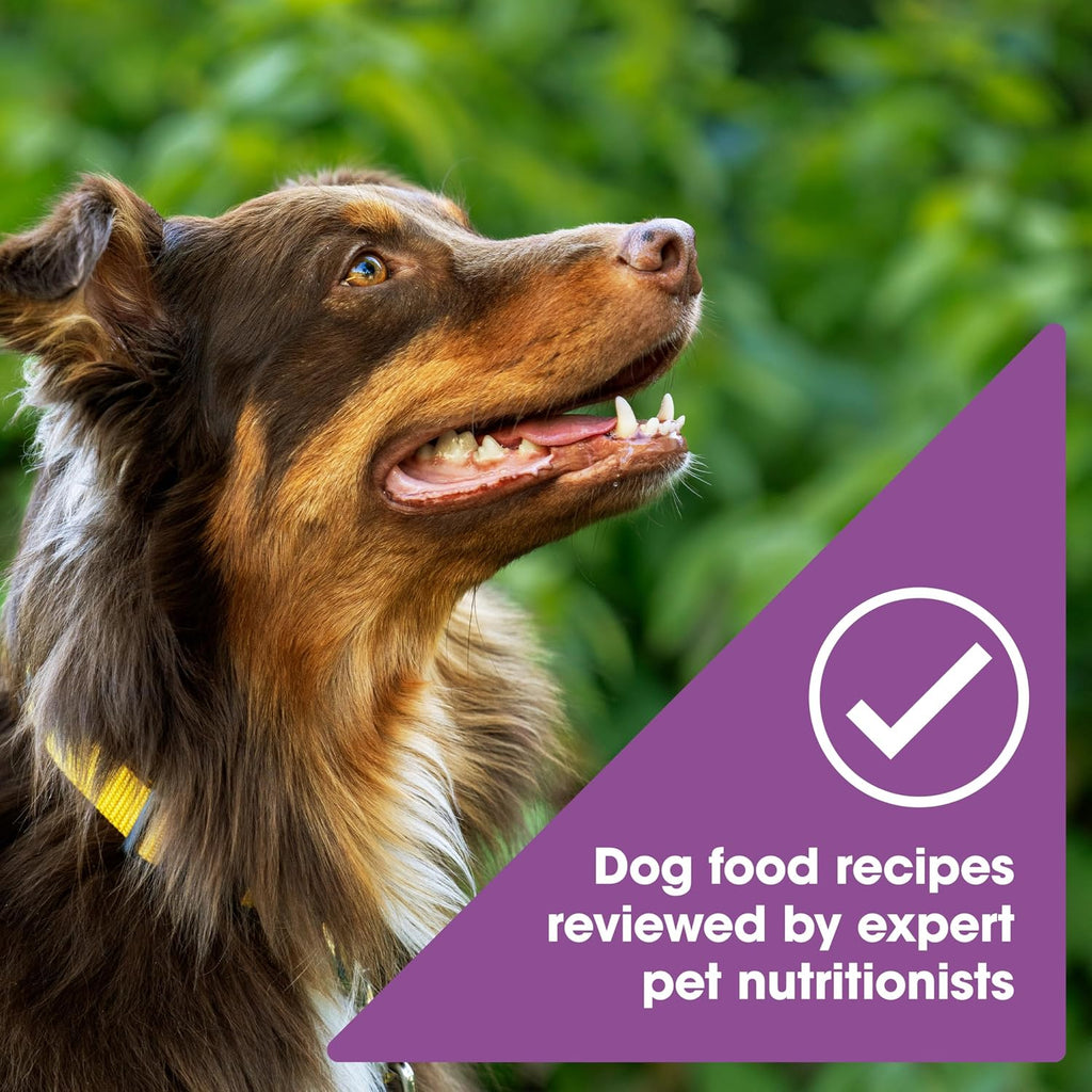 Nature’s Recipe Grain Free Lamb, Sweet Potato & Pumpkin Recipe Dry Dog Food, 24 lb. Bag