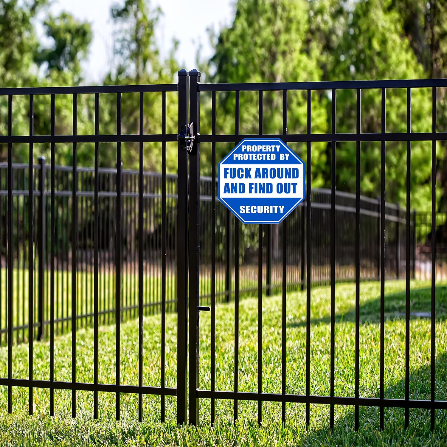 Funny FAFO Around and Find Out Yard Sign, Home Security Sign, Property Protected by Owner Sign, Outdoor - Large, 10