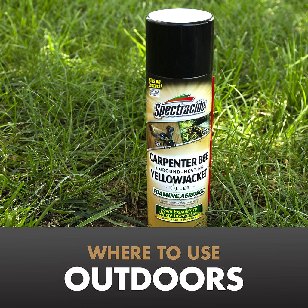 Carpenter Bee & Gound-Nesting Yellowjacket Killer, 16 Oz | Foaming Aerosol Kills on Contact, Expands To Where Insects