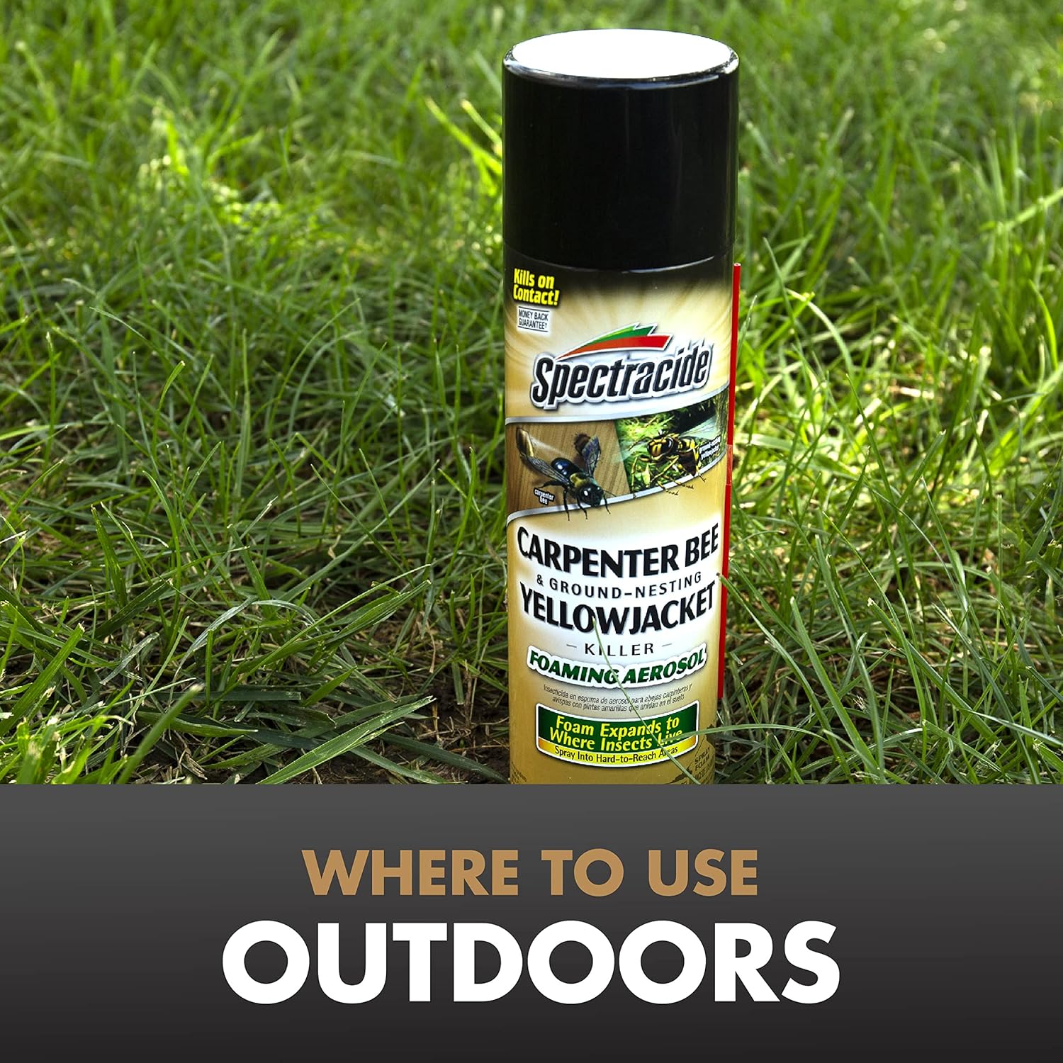 Carpenter Bee & Gound-Nesting Yellowjacket Killer 16 Oz, 12 Pk | Foaming Aerosol Kills on Contact, Expands To Where