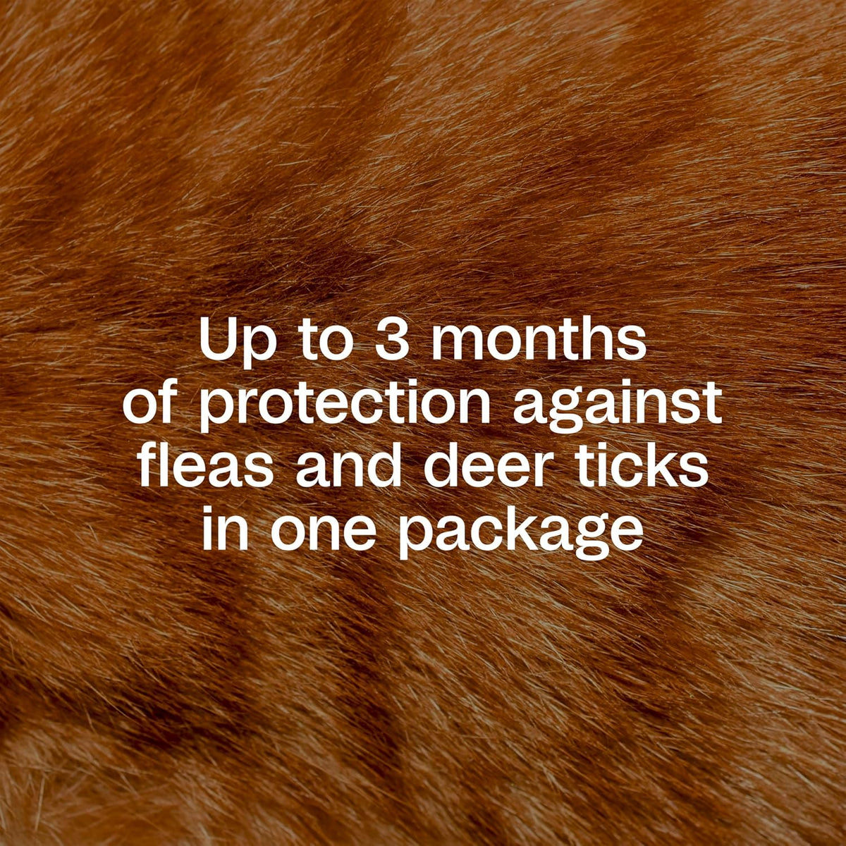 Plus Flea and Tick Prevention Spot On for Cats, 3 Pack