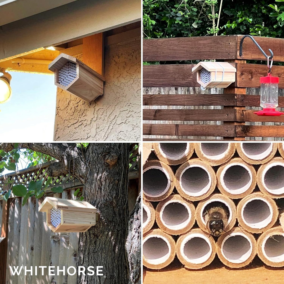Premium Cedar Bee House - 6” Long Replaceable Tubes - Perfect for Mason Beekeeping - an Insect Hotel Built to Last