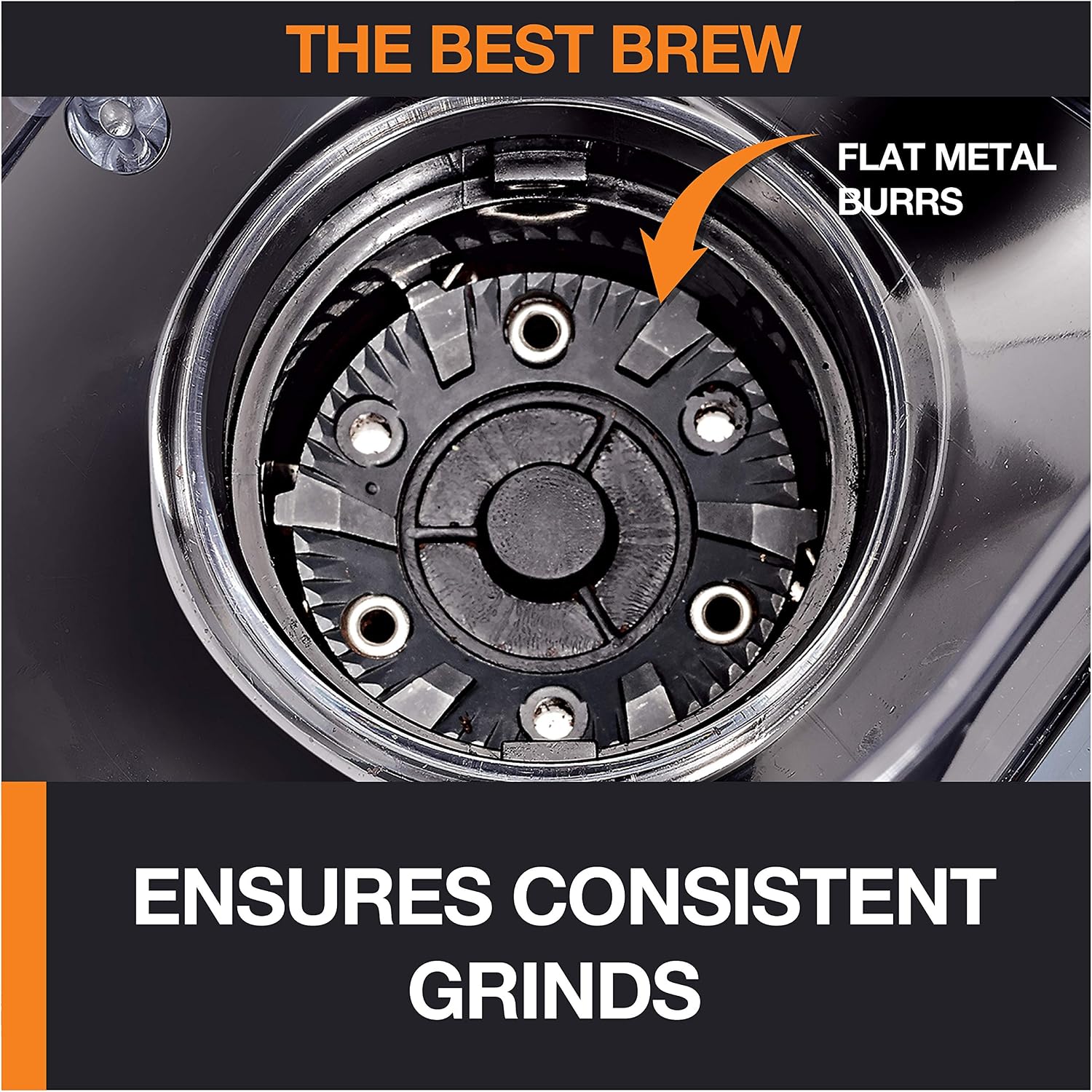 Precision Burr Coffee Grinder: 12 Settings, 8 oz Capacity for Drip, French Press, Espresso, Pour Over, Cold Brew