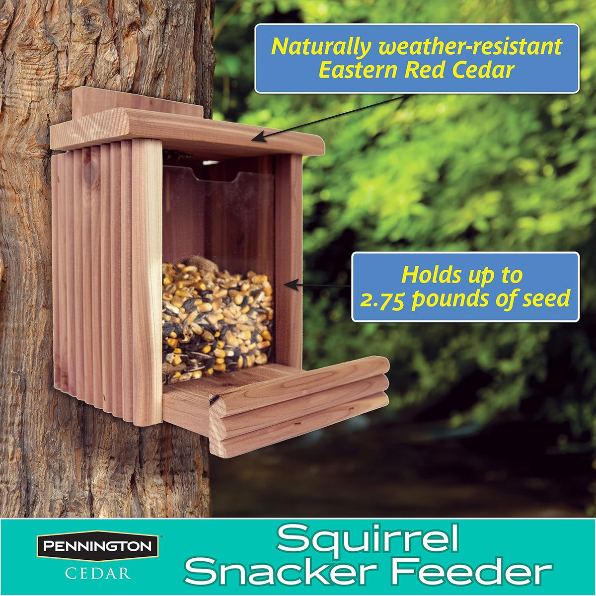 Cedar Squirrel Snacker Feeder, Squirrel Feeder, 2.75 LB